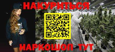 гидропоника Гусь-Хрустальный