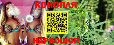 гидропоника Гусиноозёрск