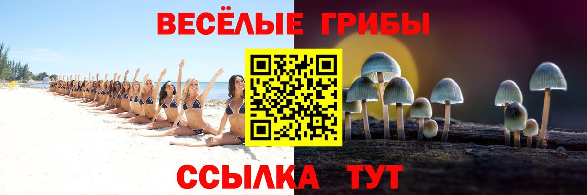 Галлюциногенные грибы мицелий  Вход с VPN  Трёхгорный 