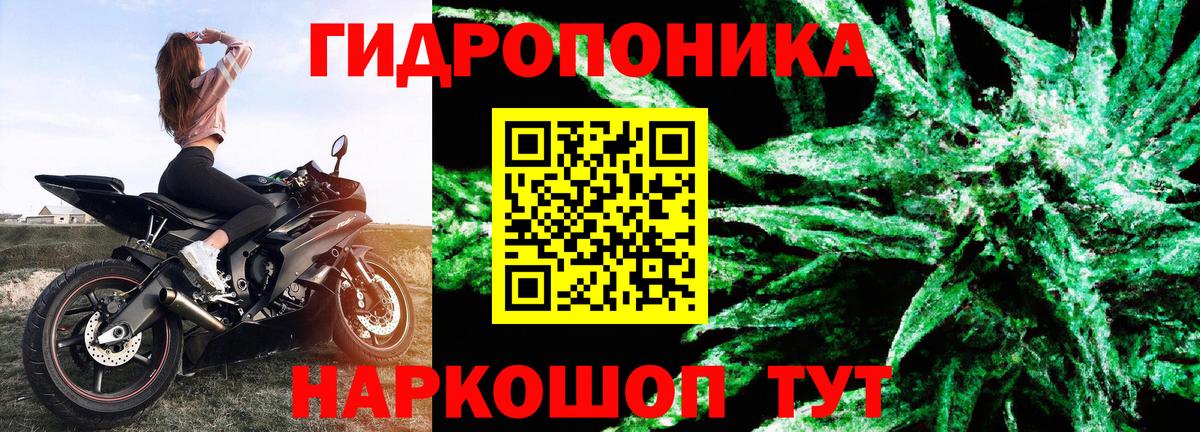 Конопля ГИДРОПОН  Конопля White Widow  Вход с VPN  Трёхгорный  Бошки Шишки White Widow 